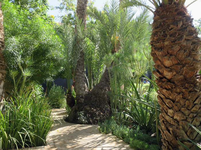 10_le-jardin-secret-marrakesh_okt17_2333